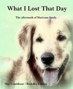 What I Lost That Day (eBook, ePUB) - Tchoukour, Mia