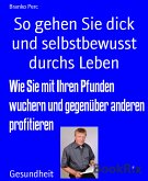 So gehen Sie dick und selbstbewusst durchs Leben (eBook, ePUB)