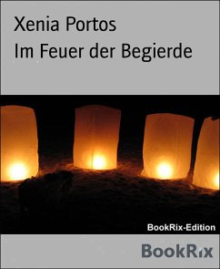 Im Feuer der Begierde (eBook, ePUB) - Portos, Xenia