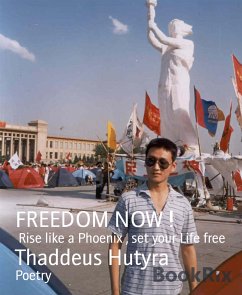 FREEDOM NOW ! (eBook, ePUB) - Hutyra, Thaddeus