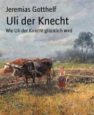 Uli der Knecht (eBook, ePUB)