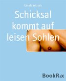 Schicksal kommt auf leisen Sohlen (eBook, ePUB)