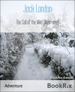 The Call of the Wild (Illustrated) (eBook, ePUB) - London, Jack