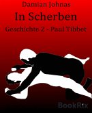 In Scherben (eBook, ePUB)