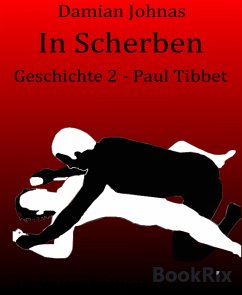 In Scherben (eBook, ePUB) - Johnas, Damian