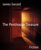 The Penthouse Treasure (eBook, ePUB)