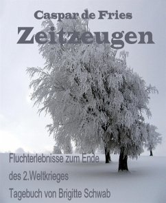 Zeitzeugen (eBook, ePUB) - Schwab, Brigitte; de Fries, Caspar