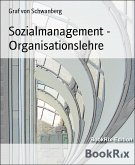 Sozialmanagement - Organisationslehre (eBook, ePUB)