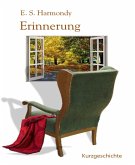 Erinnerung (eBook, ePUB)