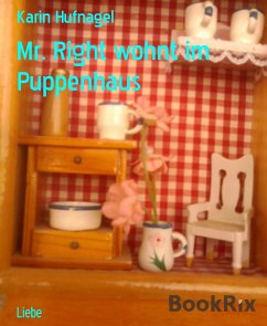 Mr. Right wohnt im Puppenhaus (eBook, ePUB) - Hufnagel, Karin