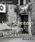 Vom Scheitern eines Unbekannten (eBook, ePUB)