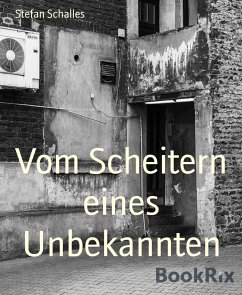 Vom Scheitern eines Unbekannten (eBook, ePUB) - Schalles, Stefan