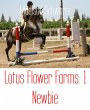Lotus Flower Farms: 1 Newbie (eBook,... - Bild 1