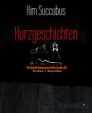 Kurzgeschichten (eBook, ePUB)