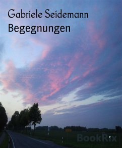 Begegnungen (eBook, ePUB) - Seidemann, Gabriele