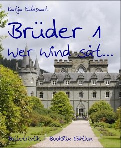 Brüder 1 (eBook, ePUB) - Rübsaat, Katja