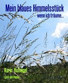 Mein blaues Himmelsstück (eBook, ePUB)