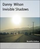 Invisible Shadows (eBook, ePUB)