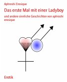 Das erste Mal mit einer Ladyboy (eBook, ePUB)