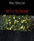 Adrift in the Unknown (eBook, ePUB)