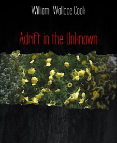 Adrift in the Unknown (eBook, ePUB) - Wallace Cook, William