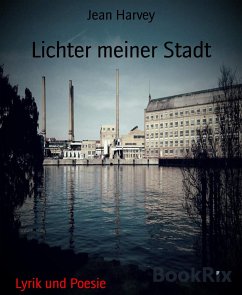 Lichter meiner Stadt (eBook, ePUB) - Harvey, Jean