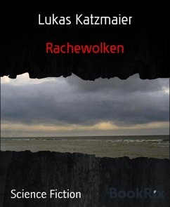 Rachewolken (eBook, ePUB) - Katzmaier, Lukas