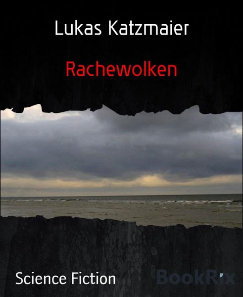 Rachewolken (eBook, ePUB)