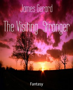 The Visiting Stranger (eBook, ePUB) - Gerard, James