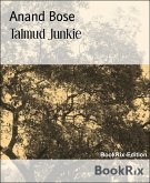 Talmud Junkie (eBook, ePUB)