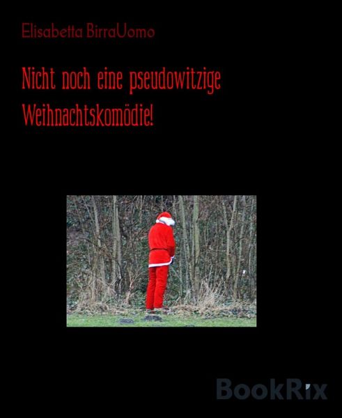Nicht noch eine pseudowitzige Weihnachtskomödie! (eBook, ePUB)