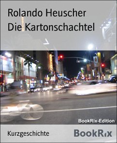 Die Kartonschachtel (eBook, ePUB) - Heuscher, Rolando