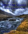 After The Storms (eBook, ePUB) - Bild 1