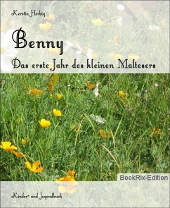 Cover Benny (eBook, ePUB)