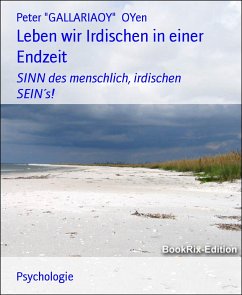 Leben wir Irdischen in einer Endzeit (eBook, ePUB) - Gallariaoy OYen, Peter