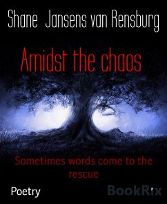 Amidst the chaos (eBook, ePUB) - Jansens van Rensburg, Shane