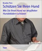 Schützen Sie Ihren Hund (eBook, ePUB)