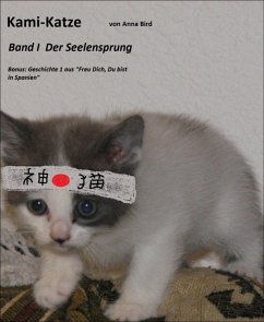 Cover Kami Katze (eBook, ePUB)