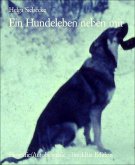 Ein Hundeleben neben mir (eBook, ePUB)