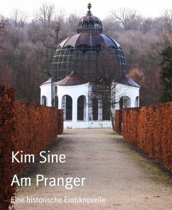 Cover Am Pranger (eBook, ePUB)
