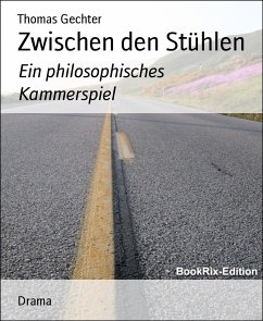 Zwischen den Stühlen (eBook, ePUB) - Gechter, Thomas