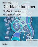 Der blaue Indianer (eBook, ePUB)