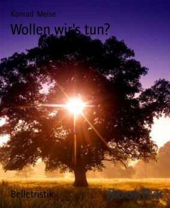 Wollen wir's tun? (eBook, ePUB) - Meise, Konrad