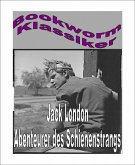Abenteurer des Schienenstrangs (eBook, ePUB)