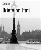 Briefe an Juni (eBook, ePUB)