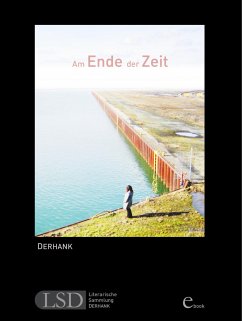 Am Ende der Zeit (eBook, ePUB) - DERHANK, H.
