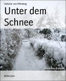 Unter dem Schnee (eBook, ePUB)