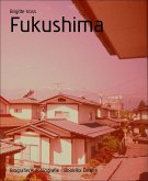 Fukushima (eBook, ePUB)