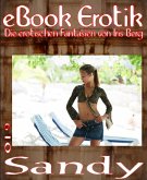 eBook Erotik 019: Sandy (eBook, ePUB)