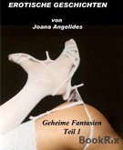 Geheime Fantasien (eBook, ePUB)